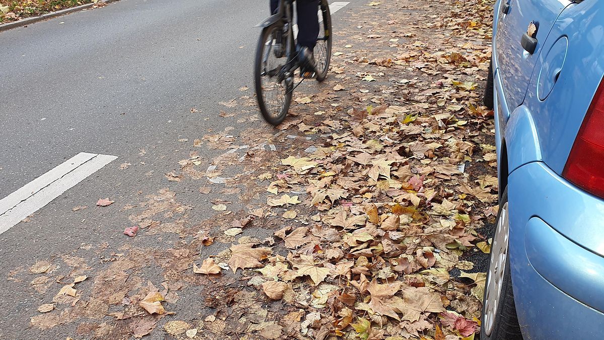 Radweg am Fahrbahnrand, dicht mit Herbstlaub bedeckt, daneben ein parkendes Auto; ein Rad fährt angeschnitten durchs Bild